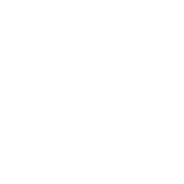 mestro verpakkingsoplossing cryovac kaas wit